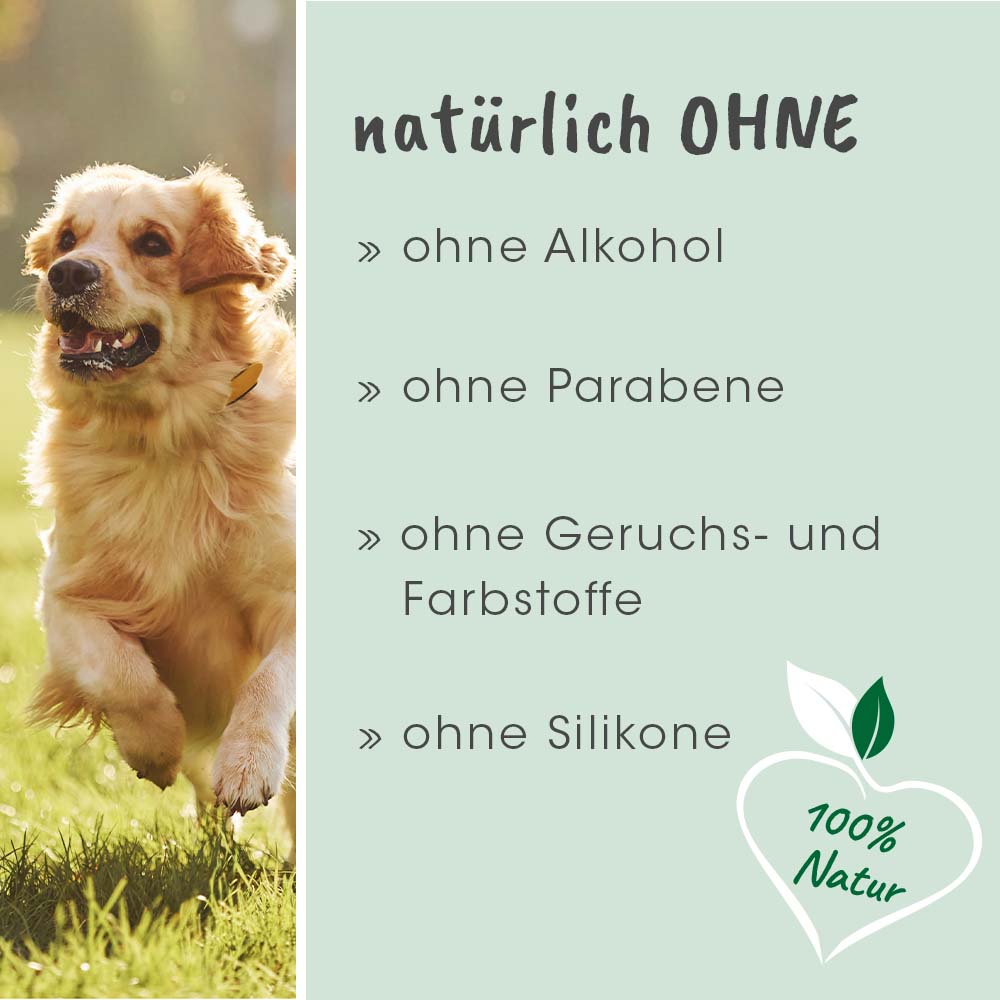 Tier, Hund, Säugetier, Haustier