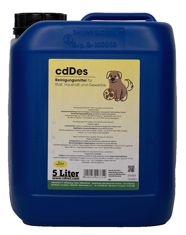 cdDes 5 L Tier, Hund, Säugetier, Haustier