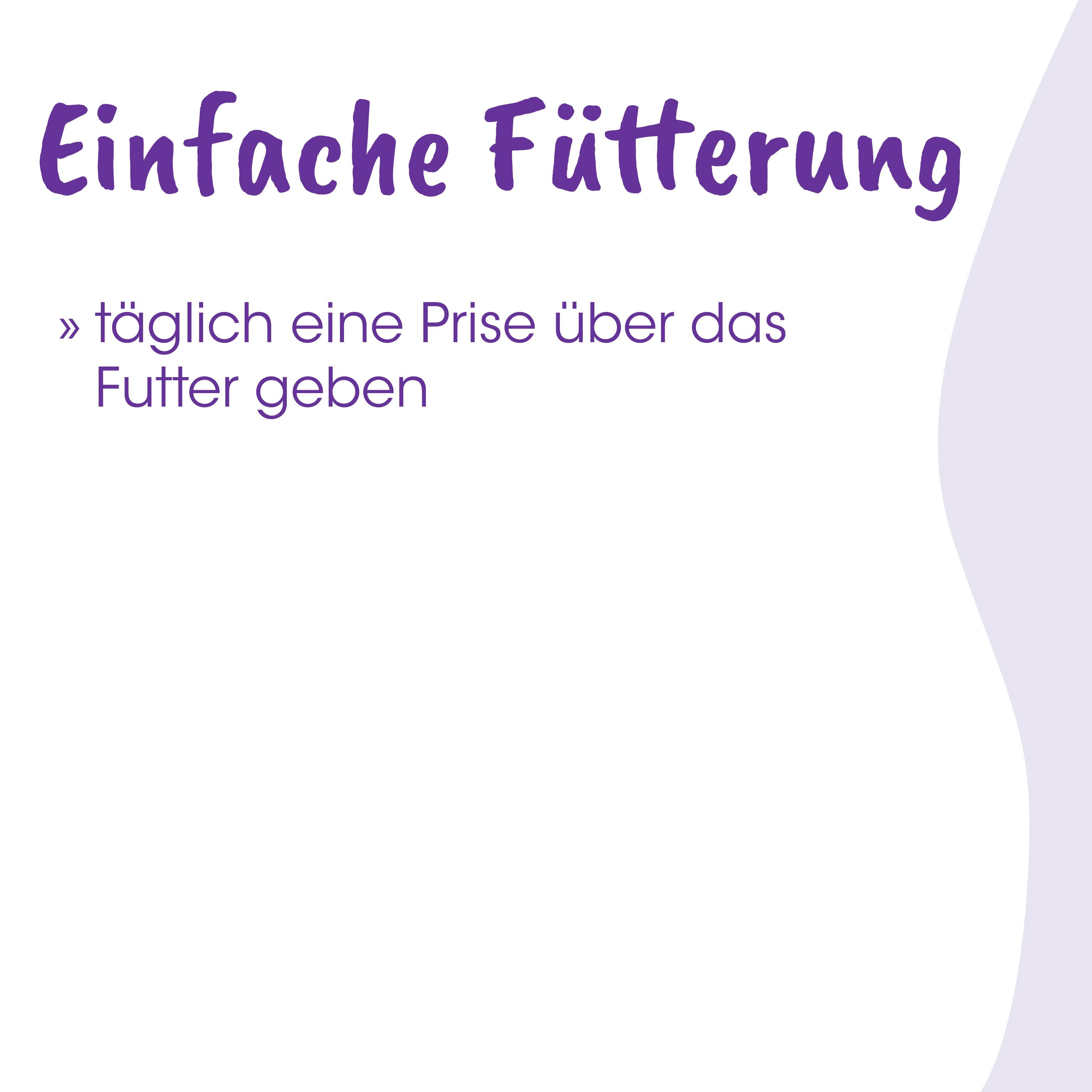 Plakat, Werbeplakat, Design, Typografie, Farbgestaltung