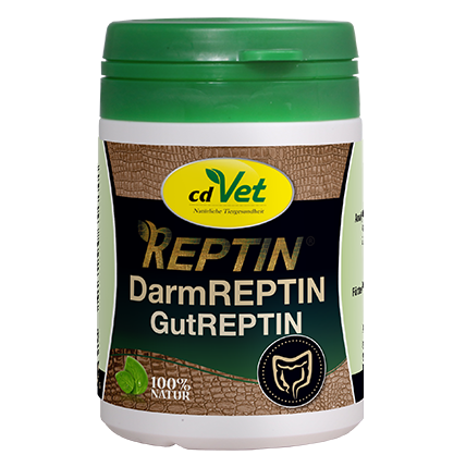 DarmReptin, GutReptin, Darm Reptin, Bauch Reptin, 100% Natur