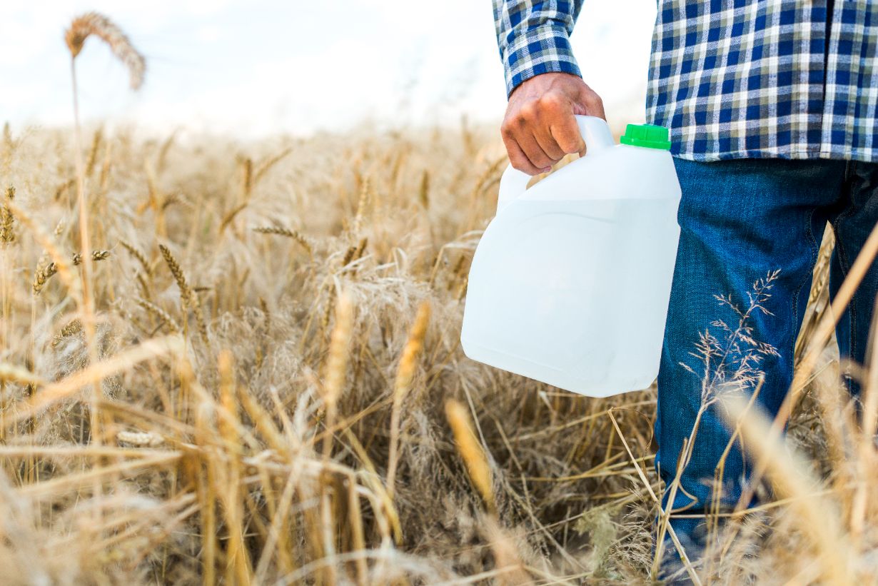 plassen, Wasserbehälter, Plastikkanister, Kanister, Feld