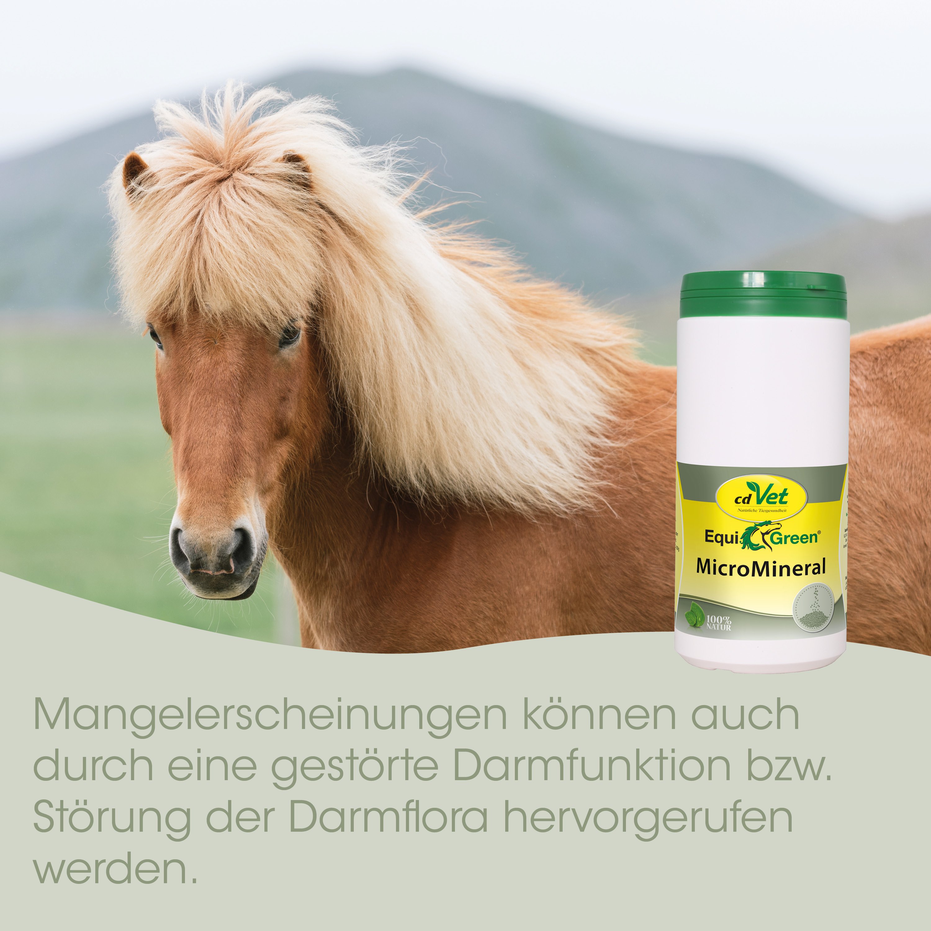 Pferd, Miniaturpferd, Langhaar, Tiernahrung, Futtertube