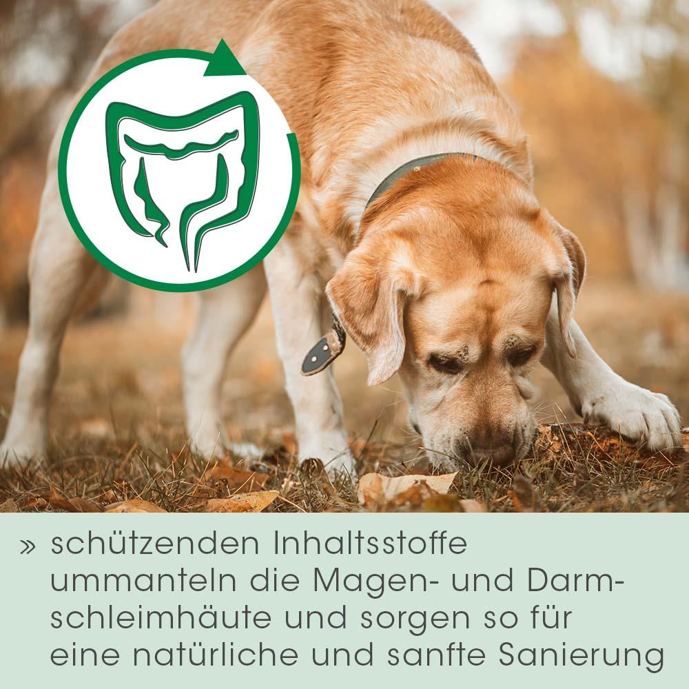 Magenschutz 2 kg