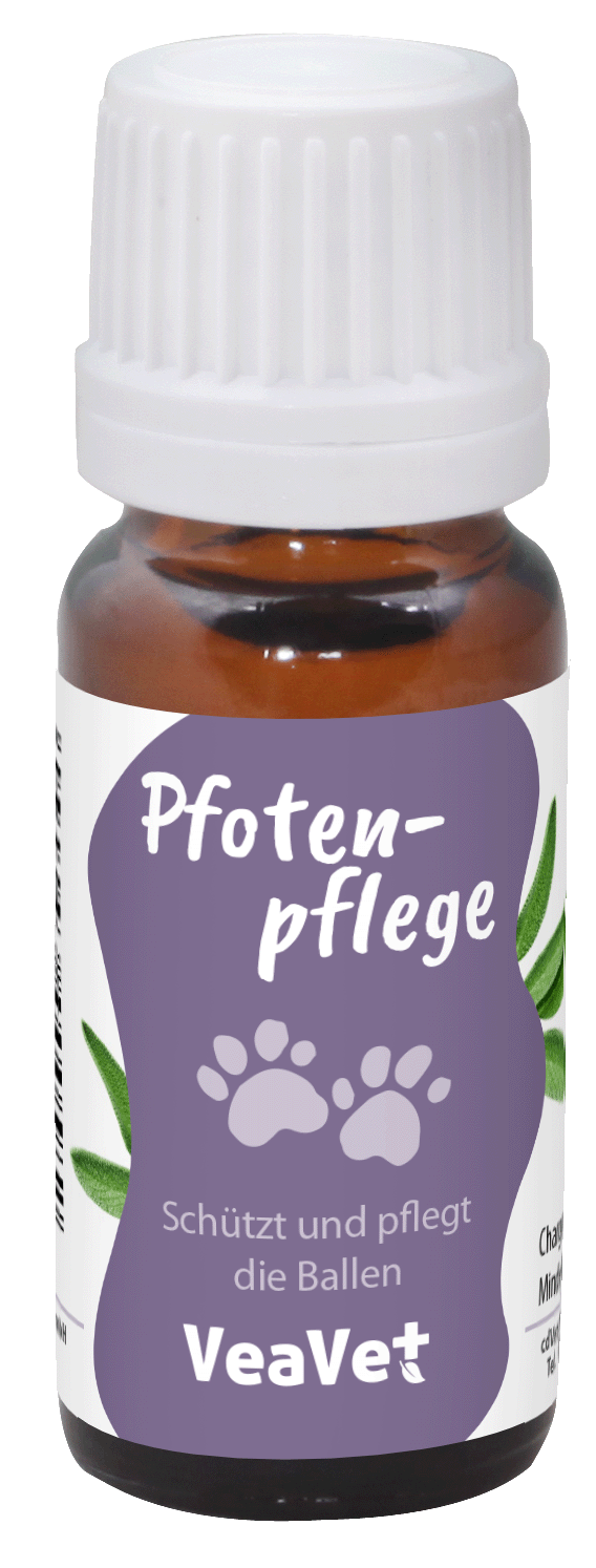 hundepflege, pflegemittel, pfötensalbe, flüssigkeit, tropfen