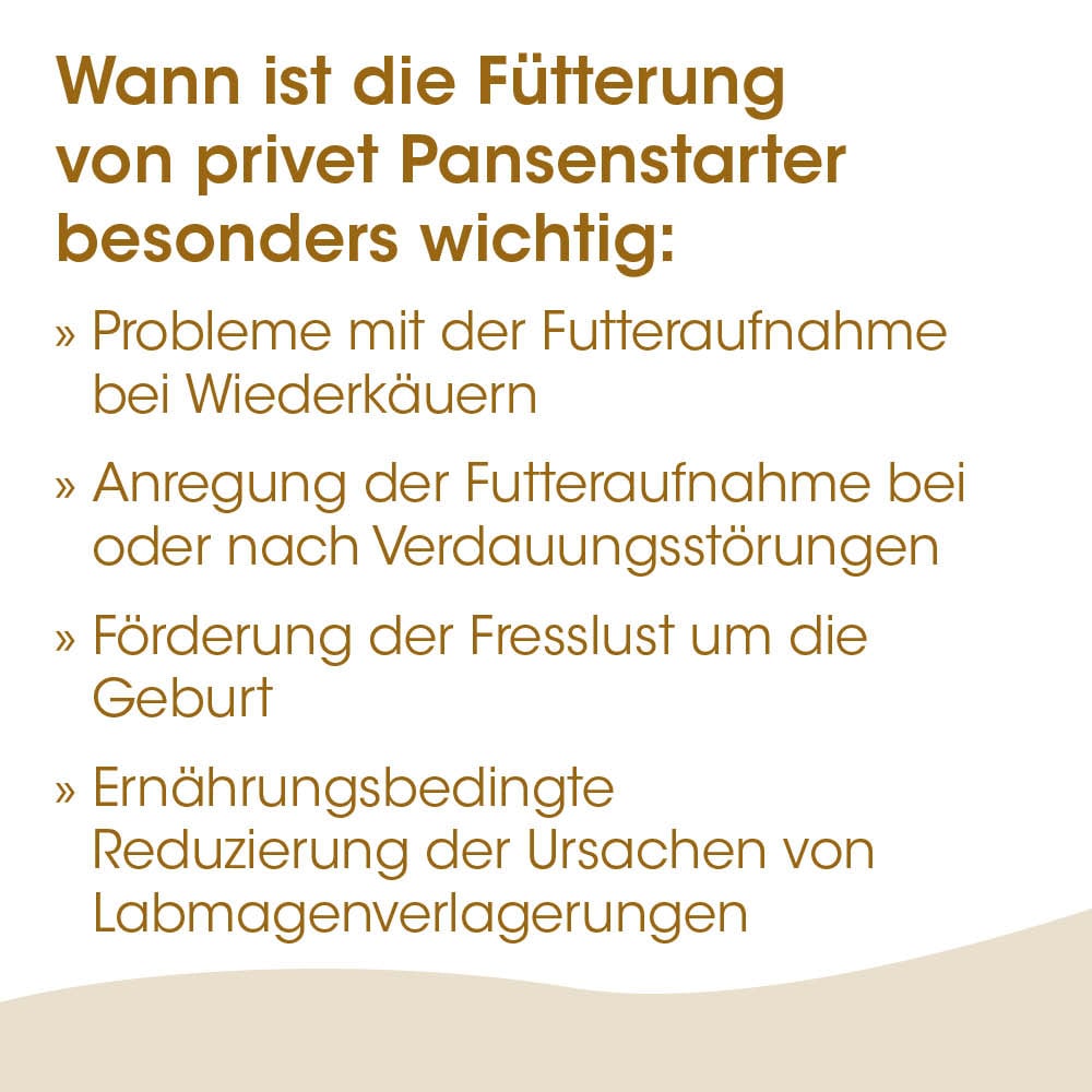 hintergrundtext, großeHeadline, farbenbraun, kursellipsen, designlayout