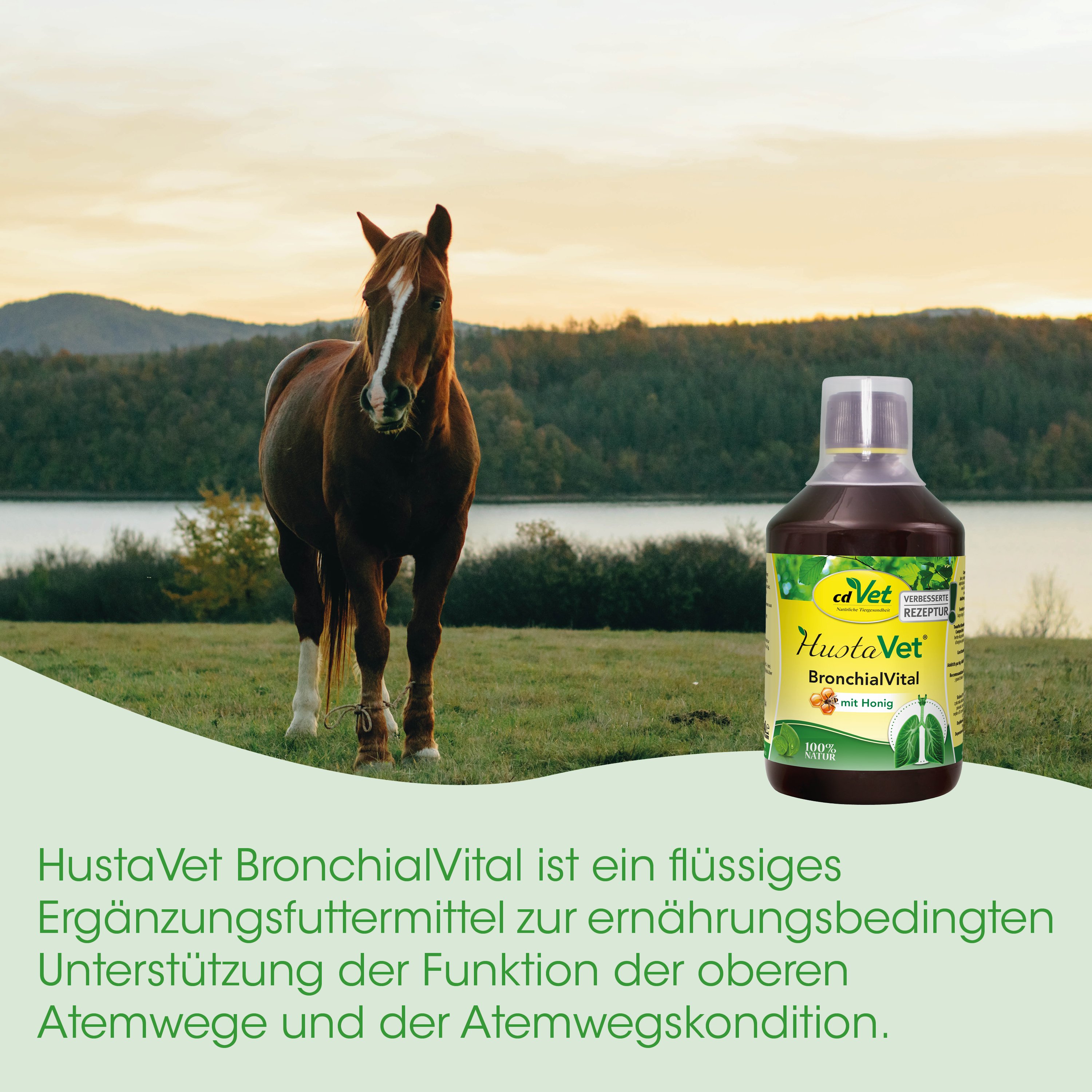 pferd, weide, flüssiges supplement, flasche, bronchialVital