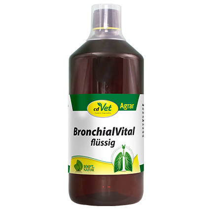 BronchialVital flüssig 1 Liter