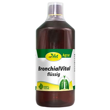 BronchialVital flüssig 1 L