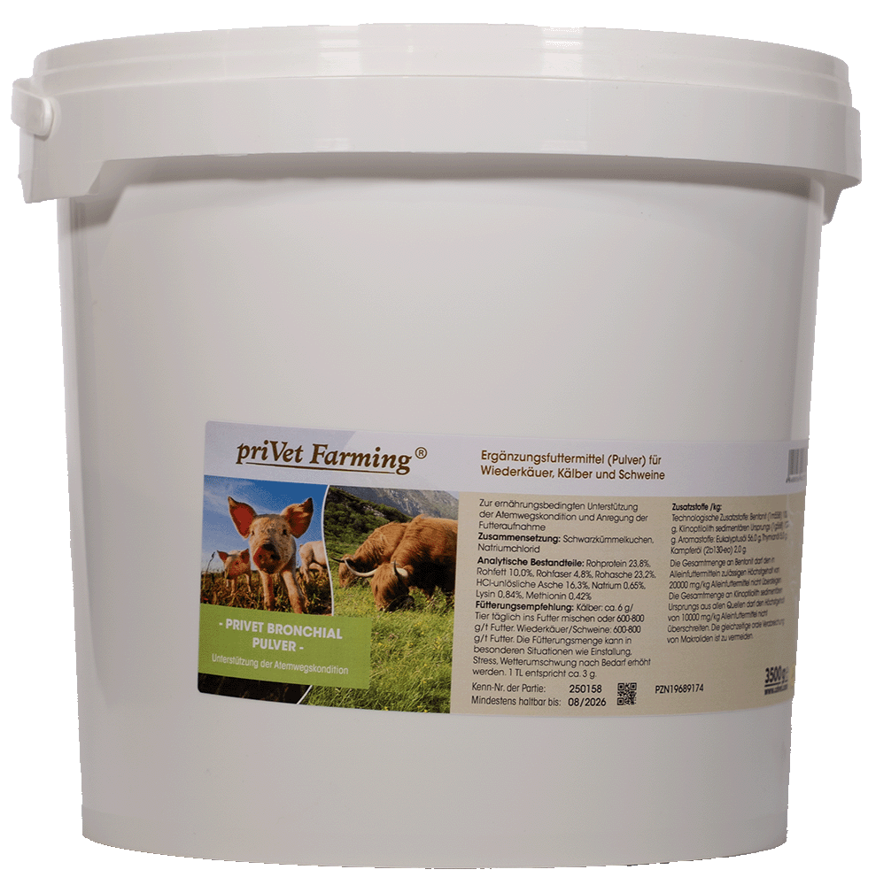 Bär, Säugetier, Tierwelt, Schwein, Postfach