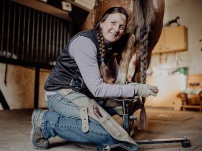 reitbürste, Pferdesport, Hufeisen, Reitausrüstung, Stalldienst
