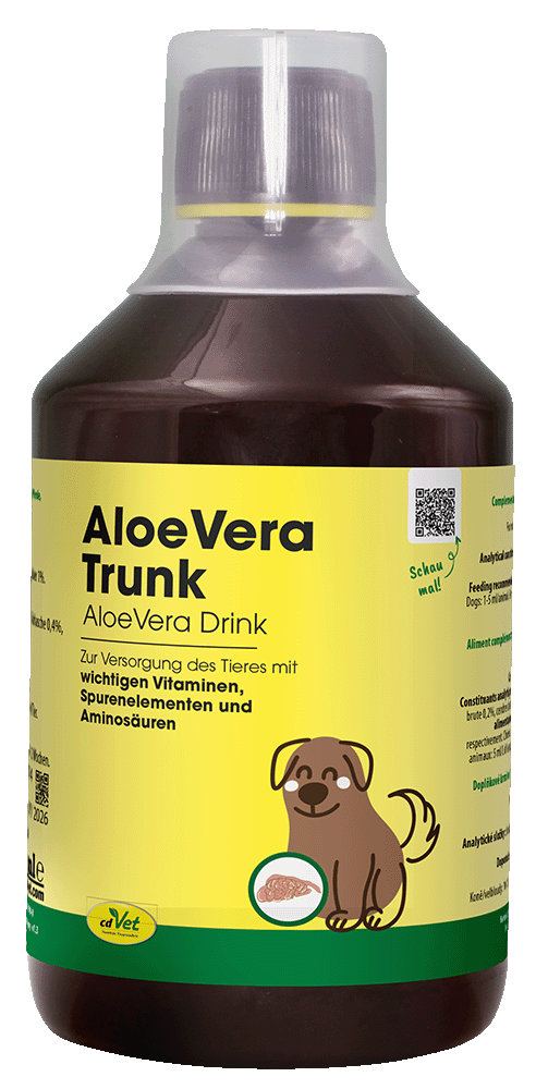 Essen, Würzen, Sirup, QR Code