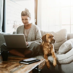 Couch, Laptop, Person, Hund, Buch