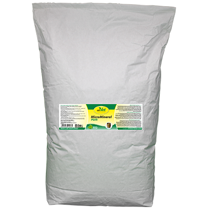 Puder, Kissen, Dekoration für Zuhause, Windel