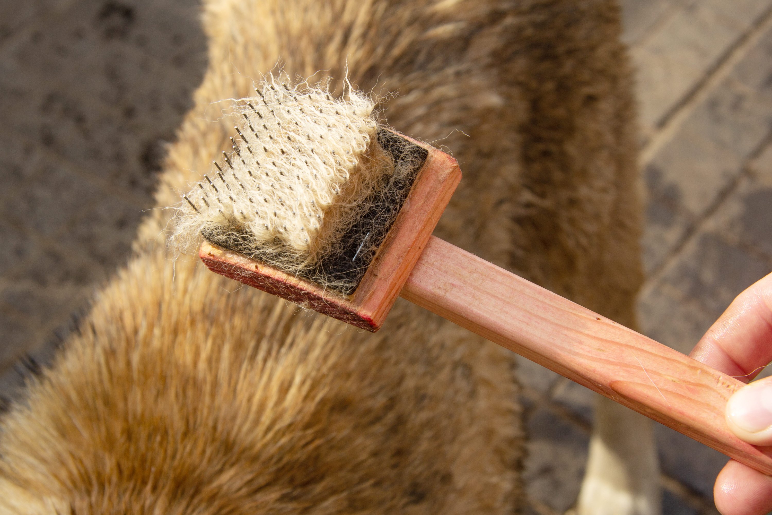 Pinsel, Gerät, Werkzeug, Axt, Waffe