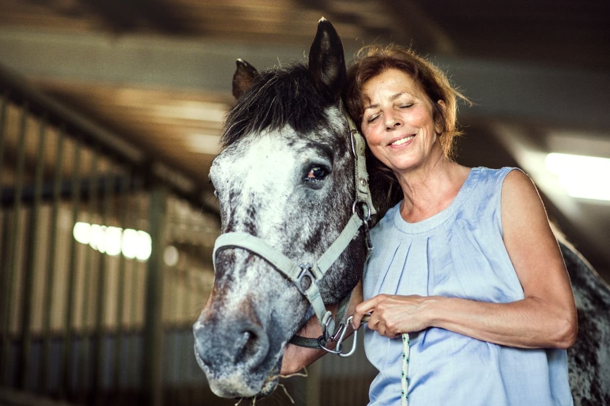 pferd, reitwesen, halfter, ställe, pferd besitzer