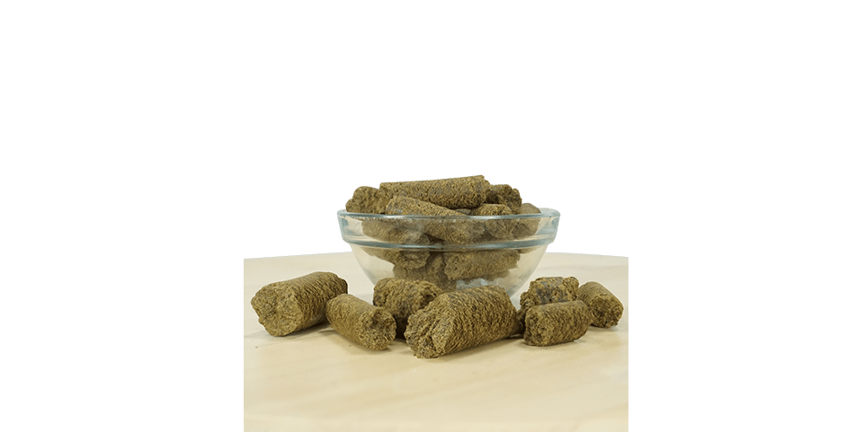 Cannabis Snack, Braune Zylinderstücke, glutenfrei?, Haustierleckerlis?, Schale mit Bissen