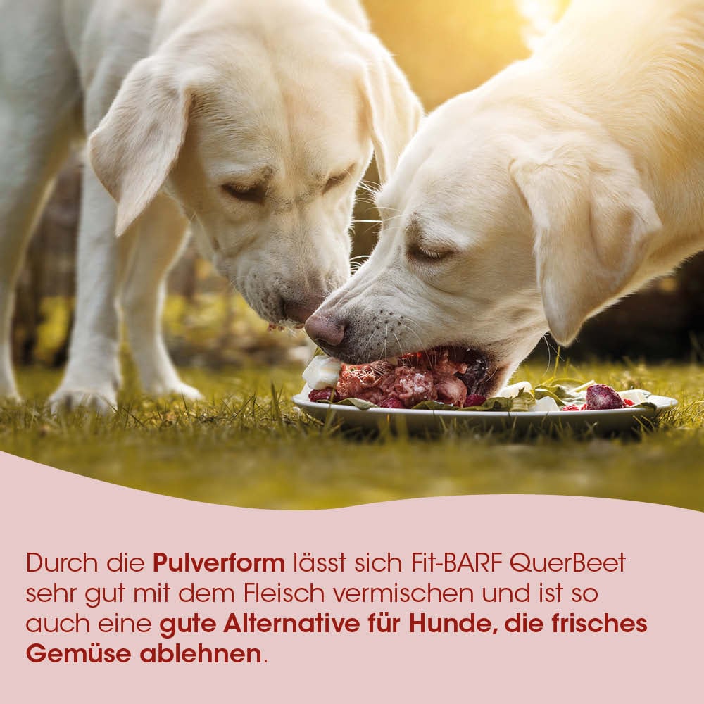 hundeten, hunde futter, fleisch, barf, futterplatte