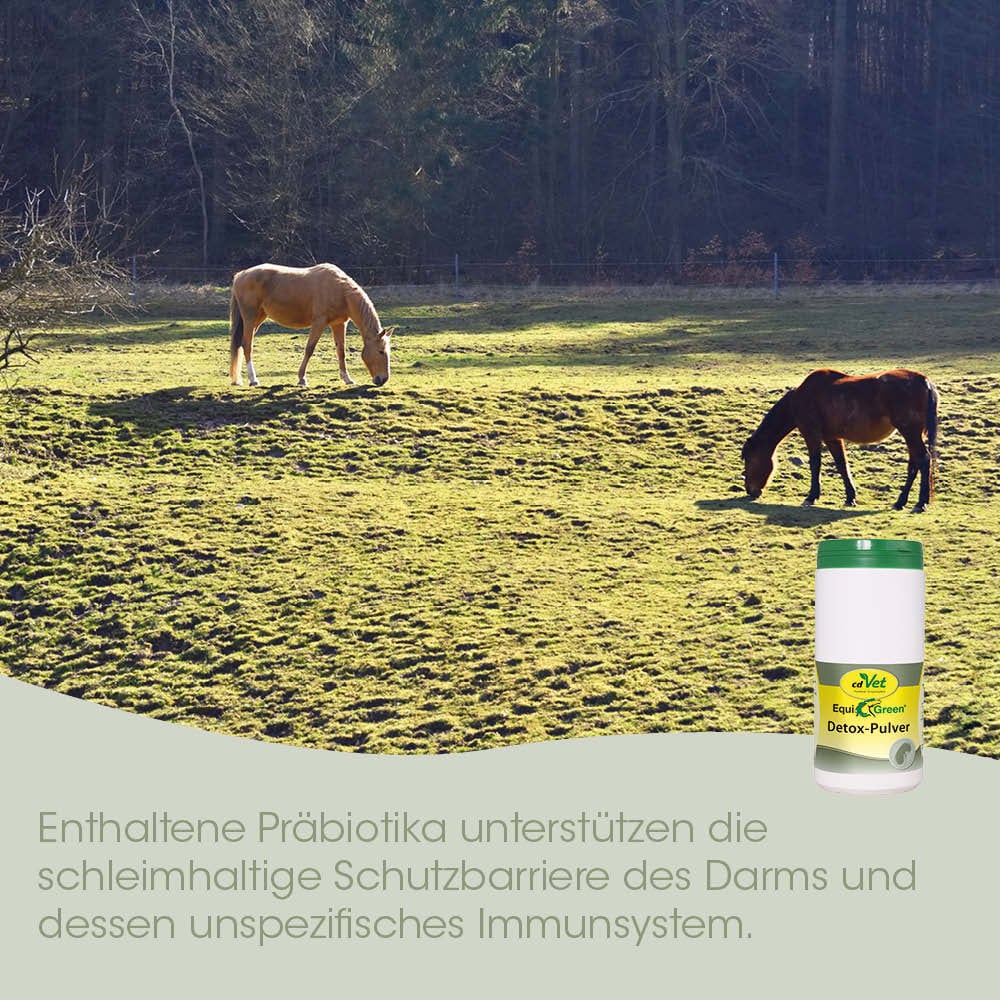Pferd, Weide, Detox-Pulver, Hund, Immunstärkung