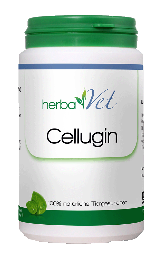 Kräuter, Pflanze, Schüttler, Glas