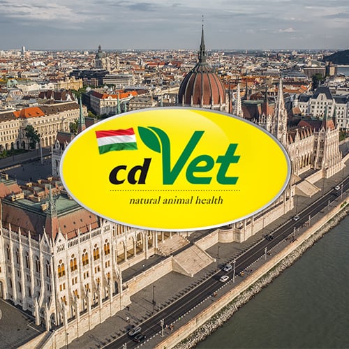 Hungary_Bild Stadt, Metropole, Städtisch, Nachbarschaft, Draußen