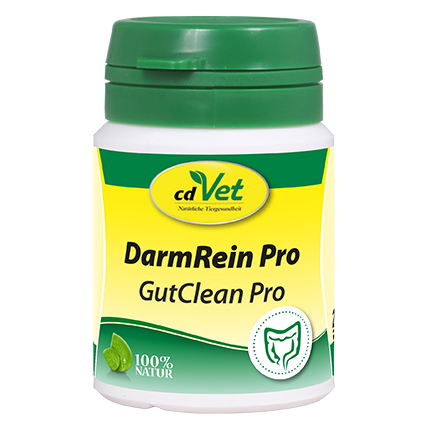 DarmRein Pro 20 g