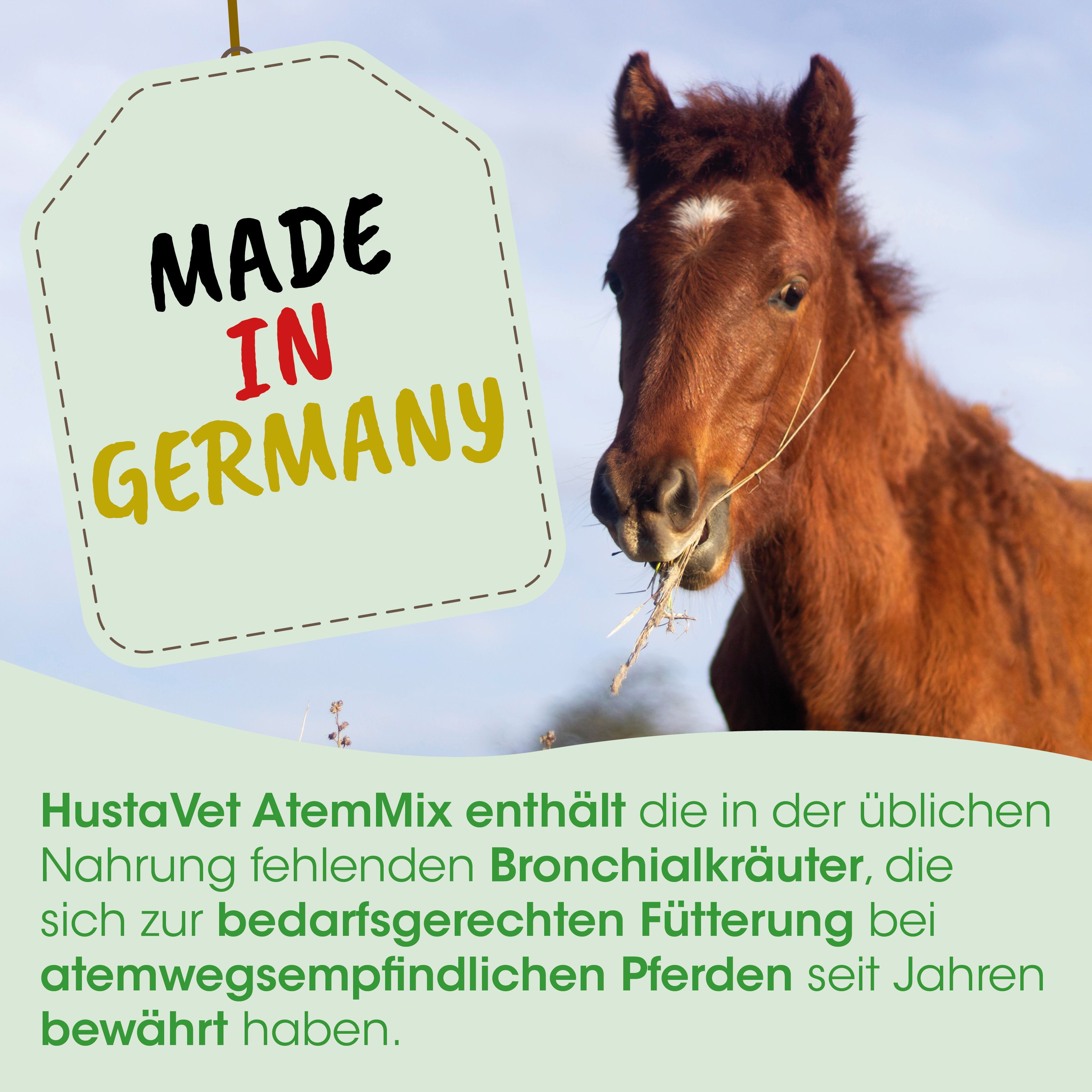 Pferd, braun, Mähne, Heu, Made in Germany