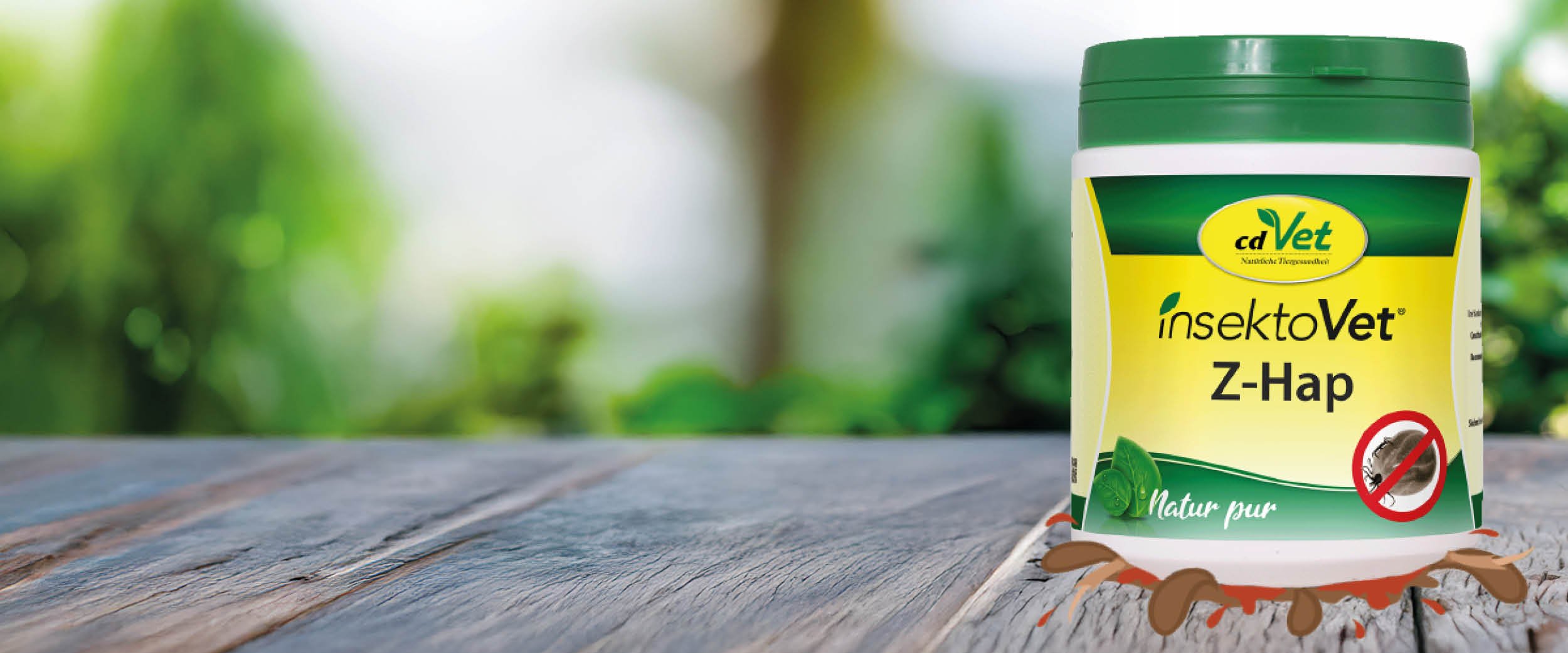 Kräuterig, Kräuter, Pflanze