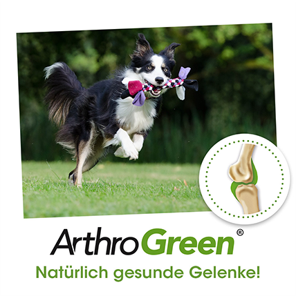 ArthroGreen Articulation Fit 70 g