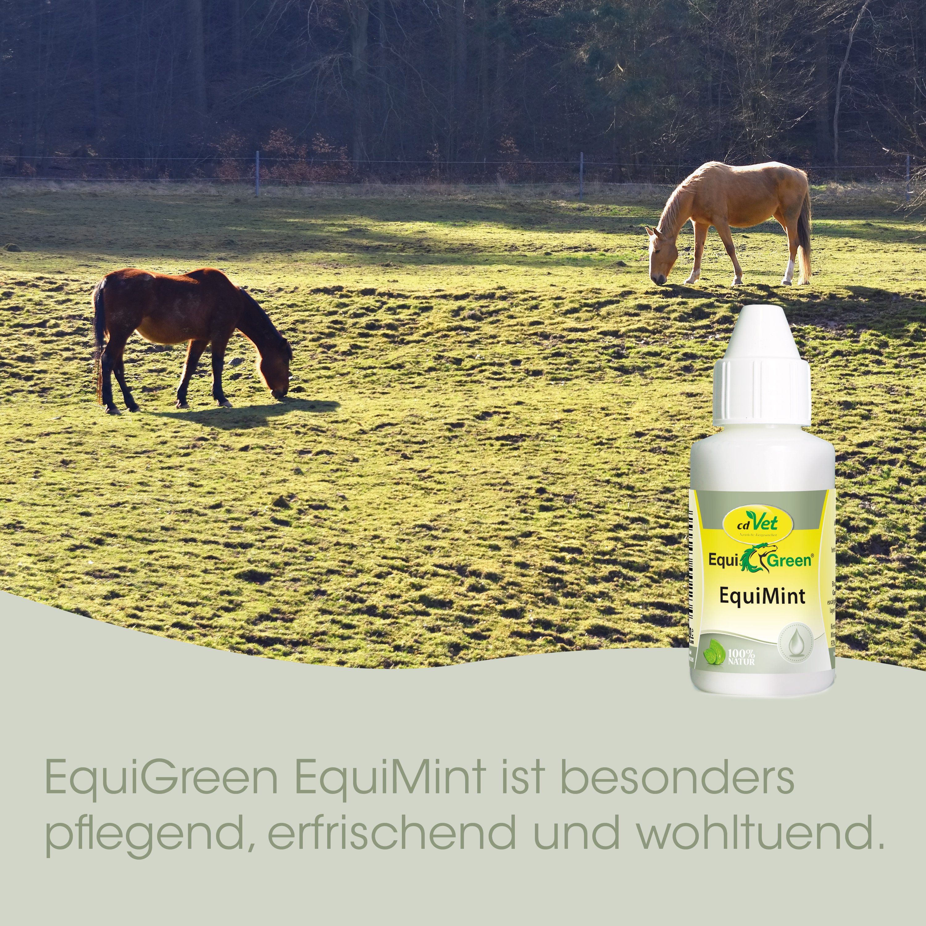 EquiGreen EquiMint 500g