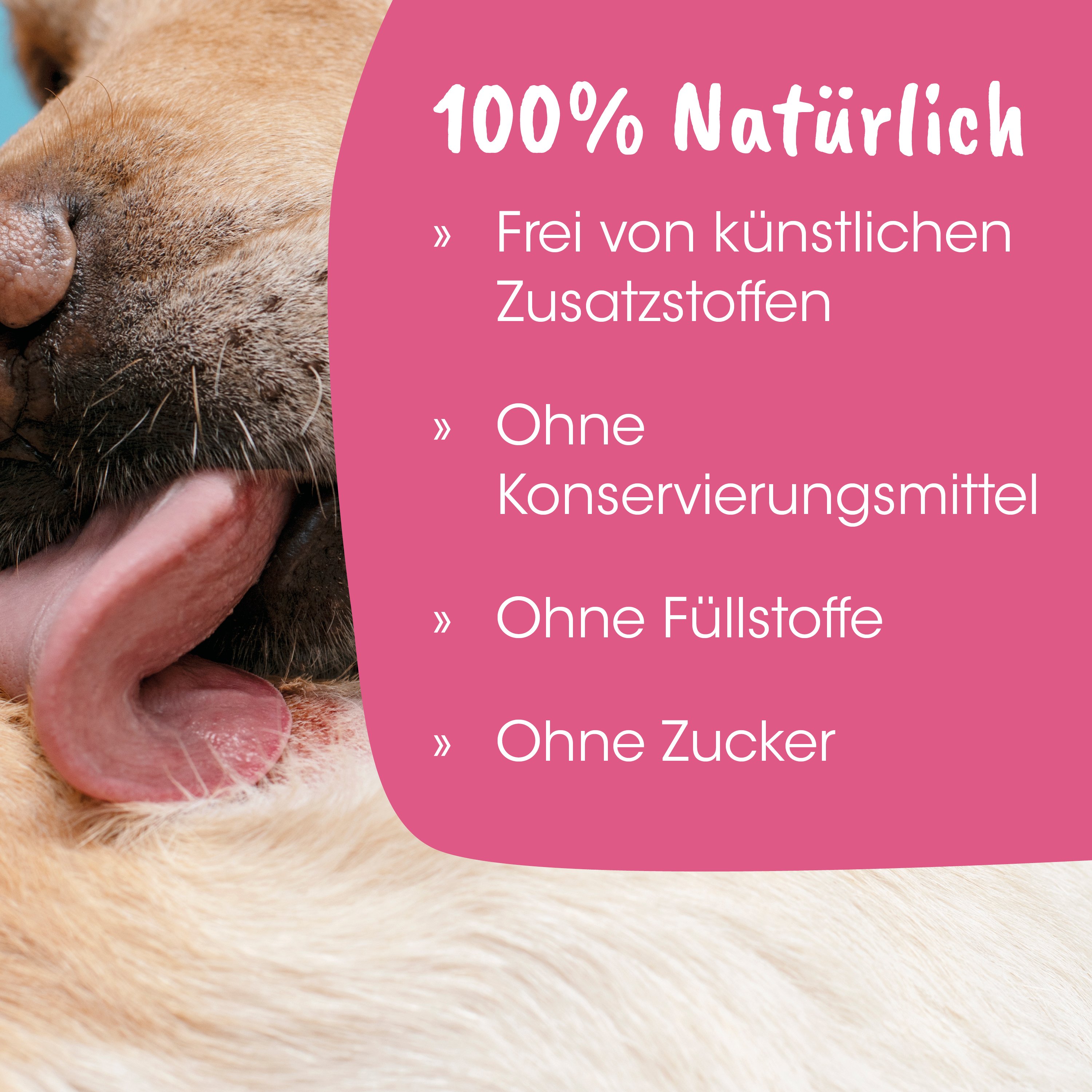hunde, nasenpartie, l-fell, ohne konzervierungsmittel, ohne zusatzstoffe