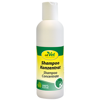 Shampoo Konzentrat