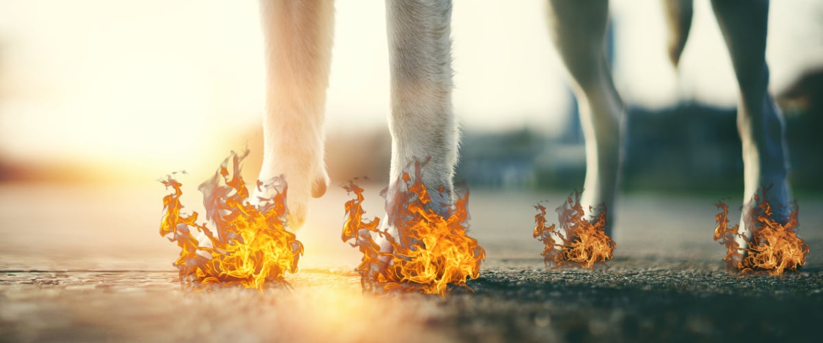 Feuer, Flamme