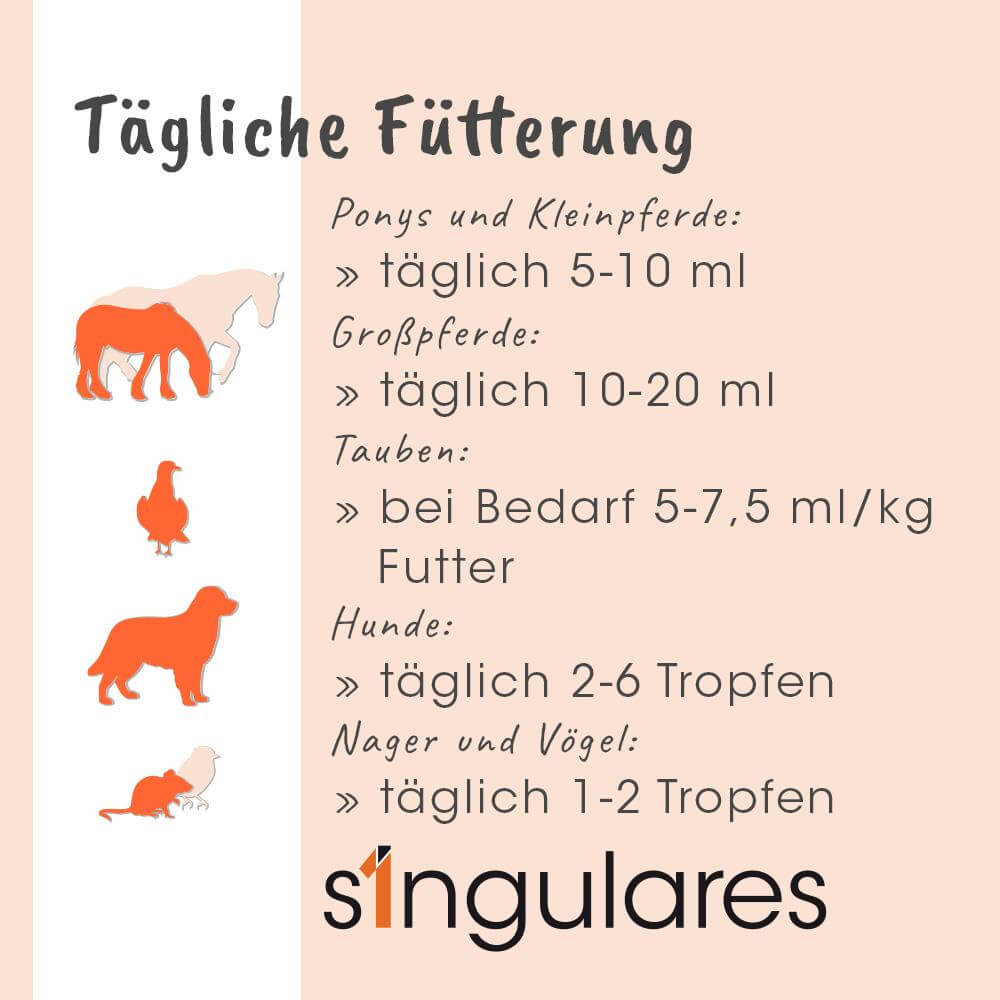 Pony, Pferd, Hund, Kleintier, Futterempfehlung