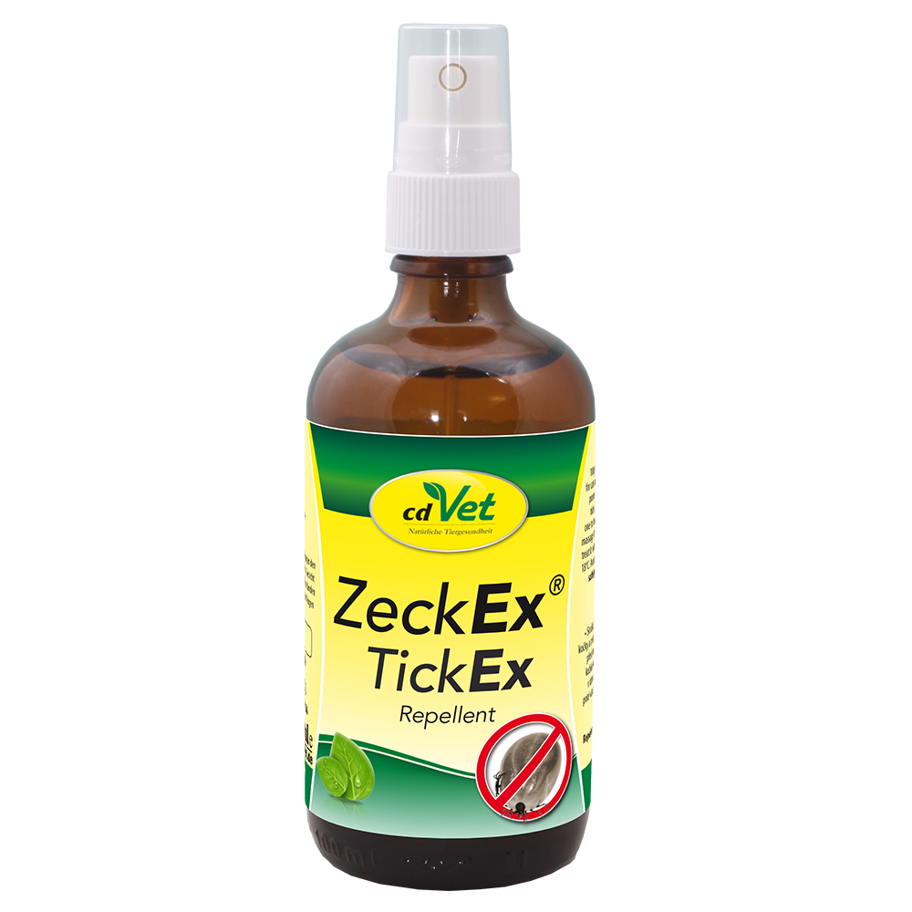Essen, Würzen, Sirup