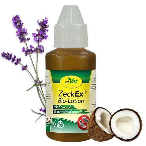 Hund-im-Urlaub_ProduktBanner-ZeckExLotion