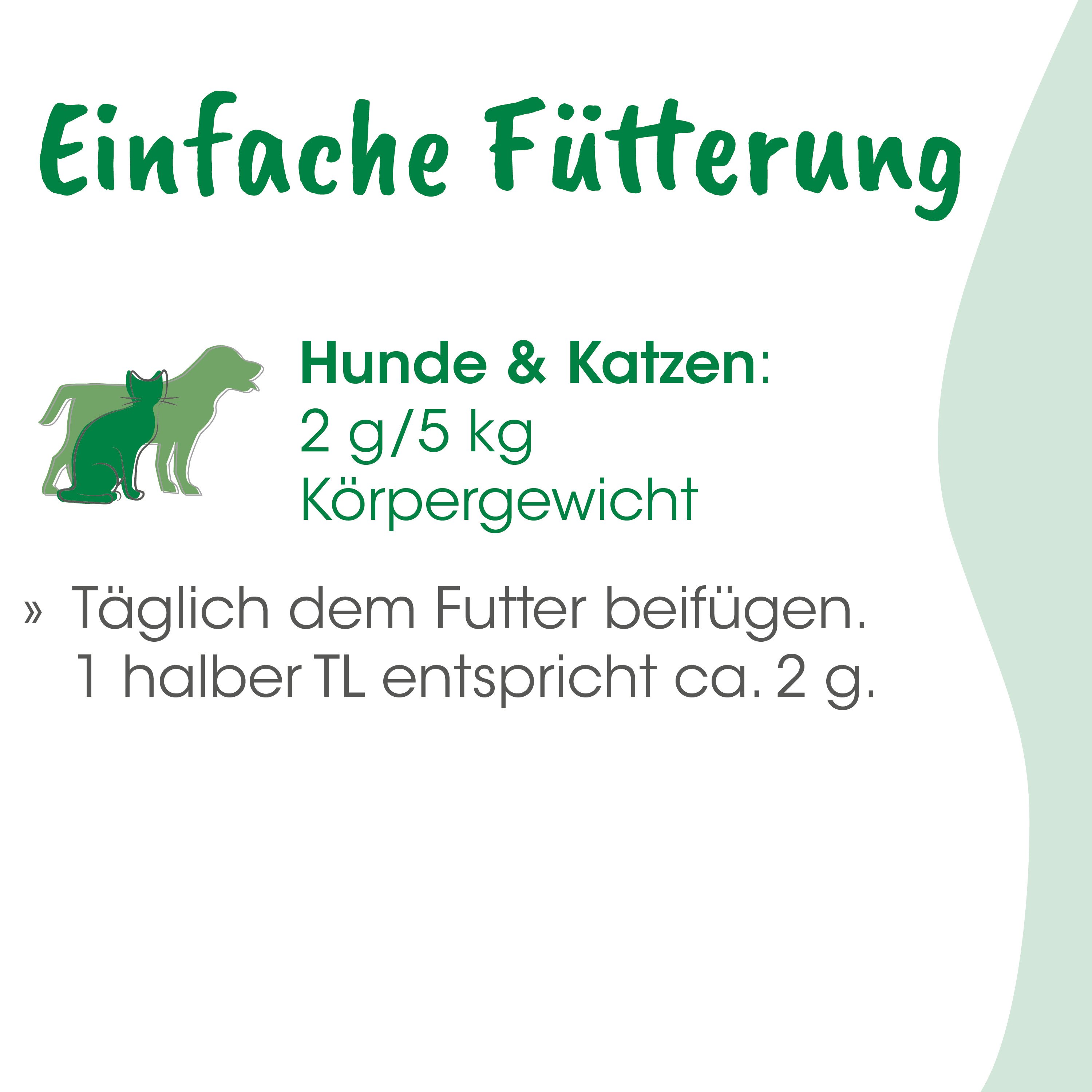 Hund, Katze, Hunde- und Katzenfutter, Tiernahrung, Körnerfutter