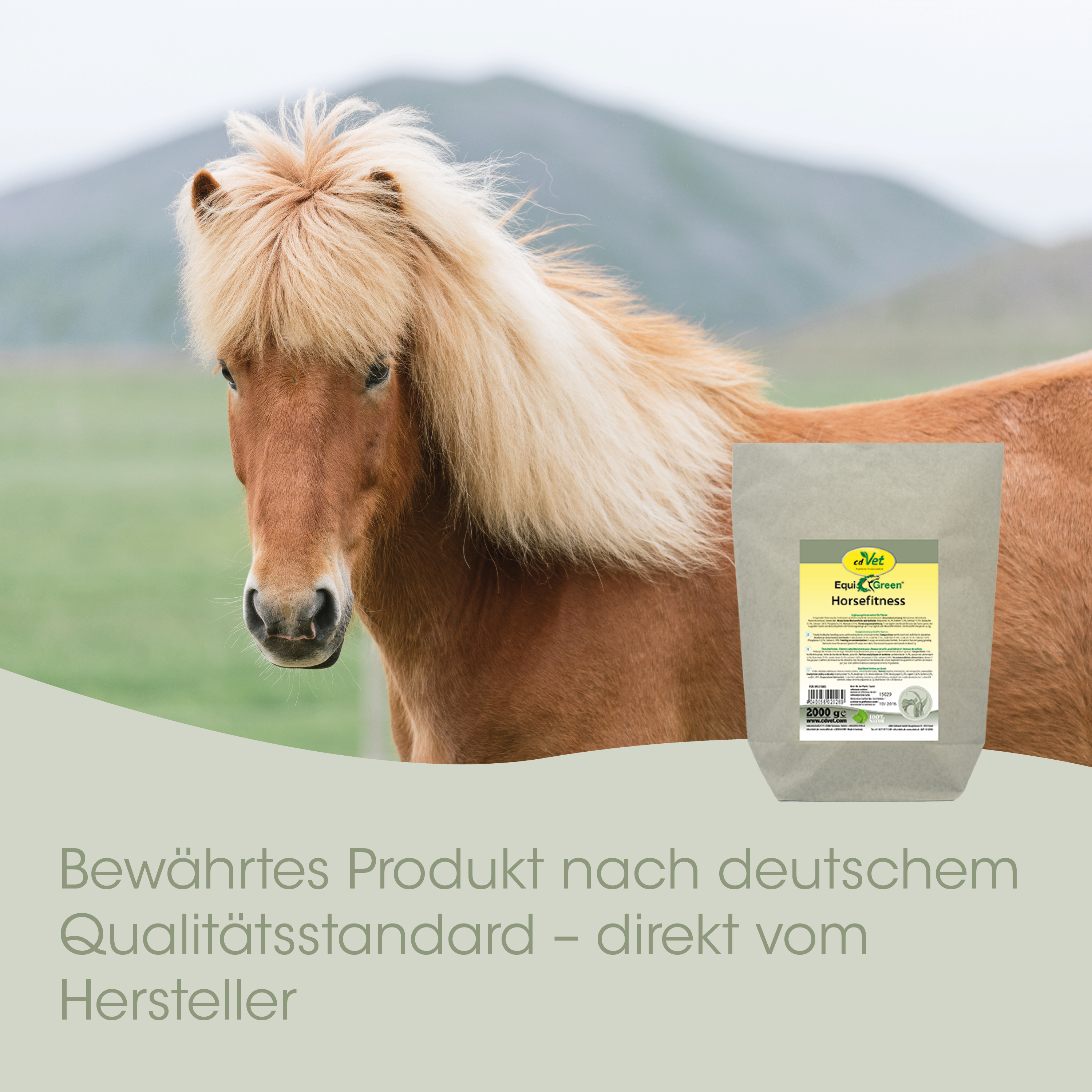 Pferd, Fohlen, Futter, Beutel, Ergänzung