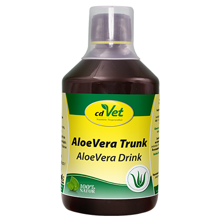 AloeVera Trunk