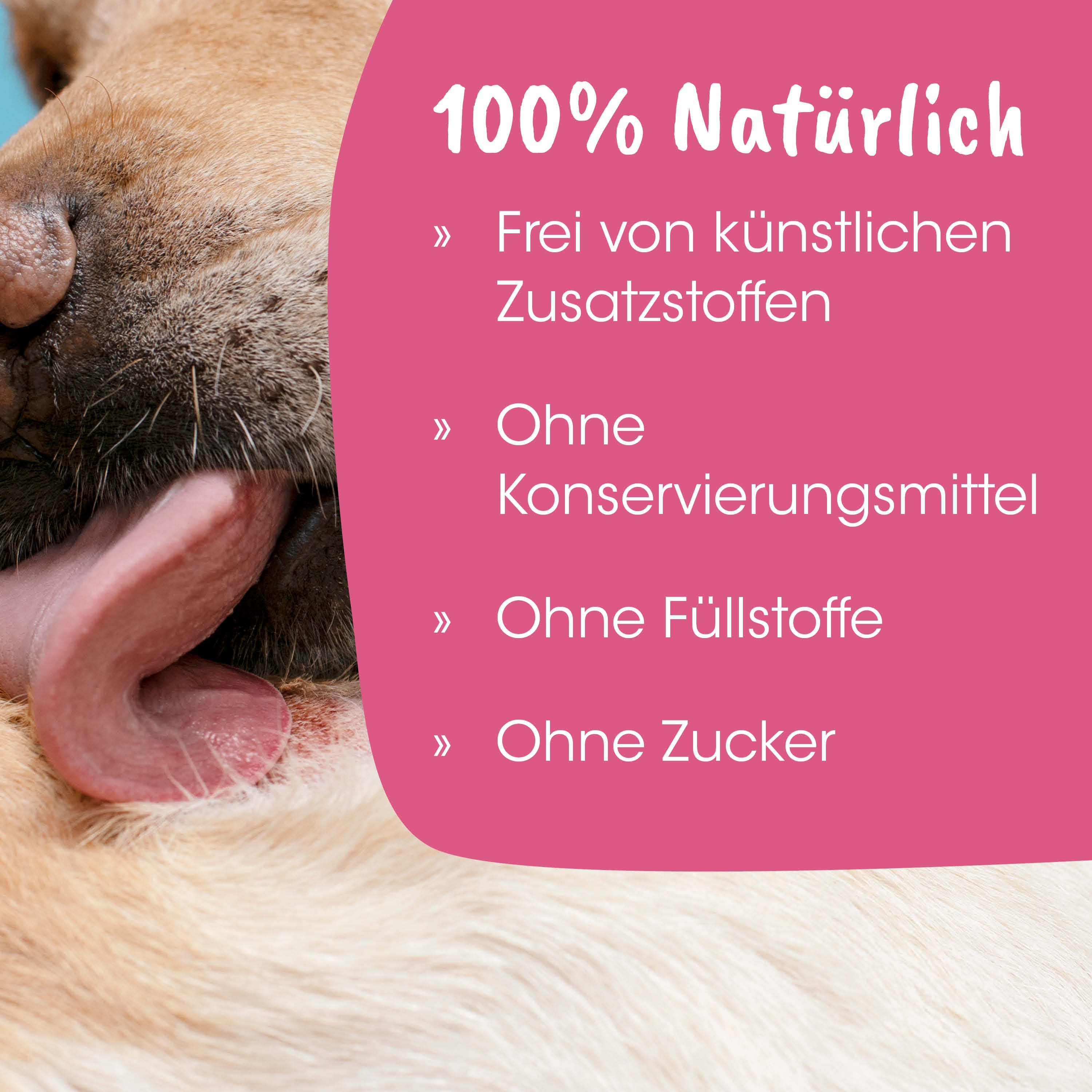 hund, 鼻, fell, zunge, rosa beschriftung