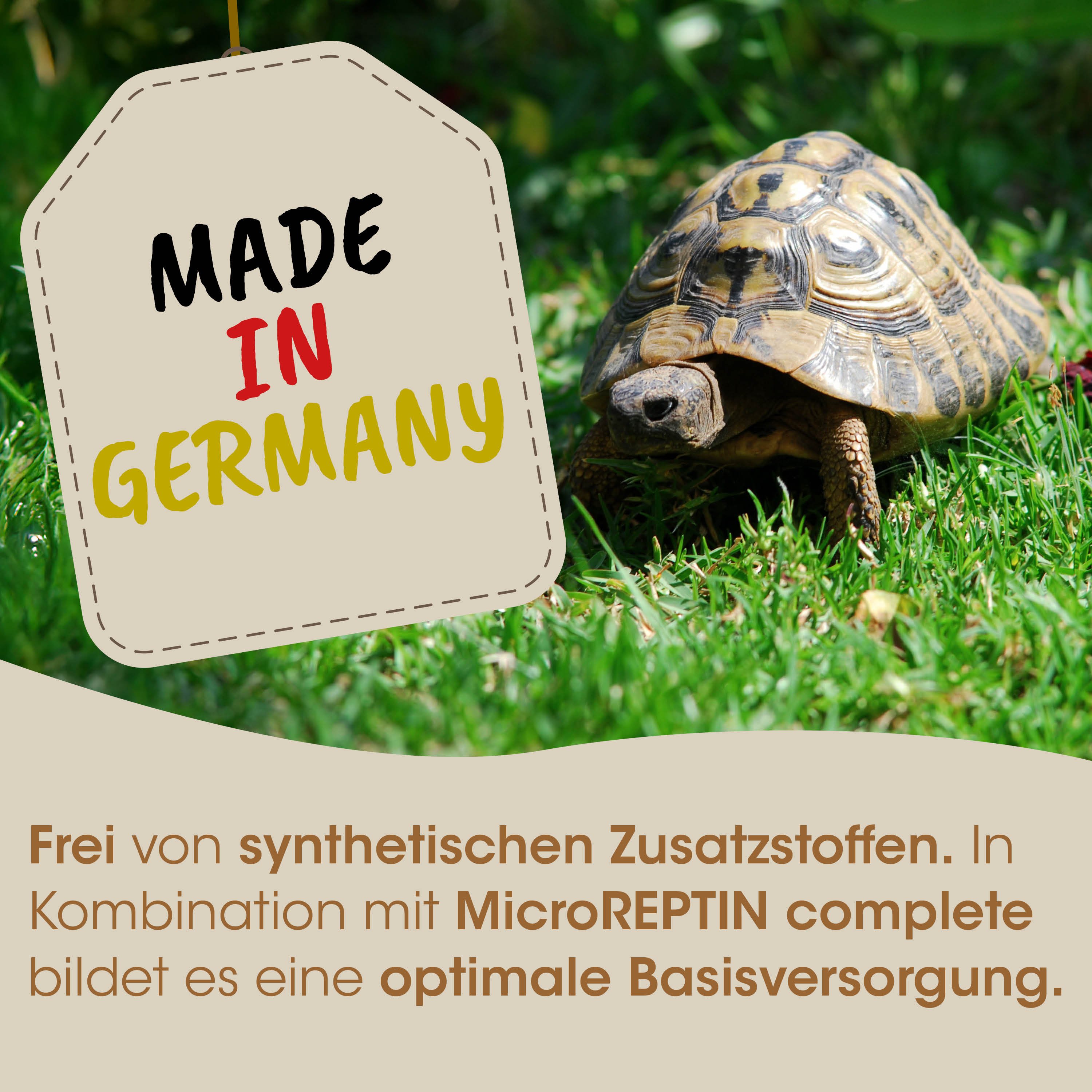 schild aus papier, turtle, gartenzoo, grüne wiese, tier