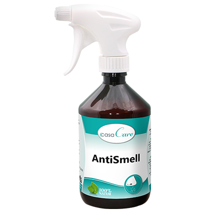 casaCare AntiSmell 500 ml