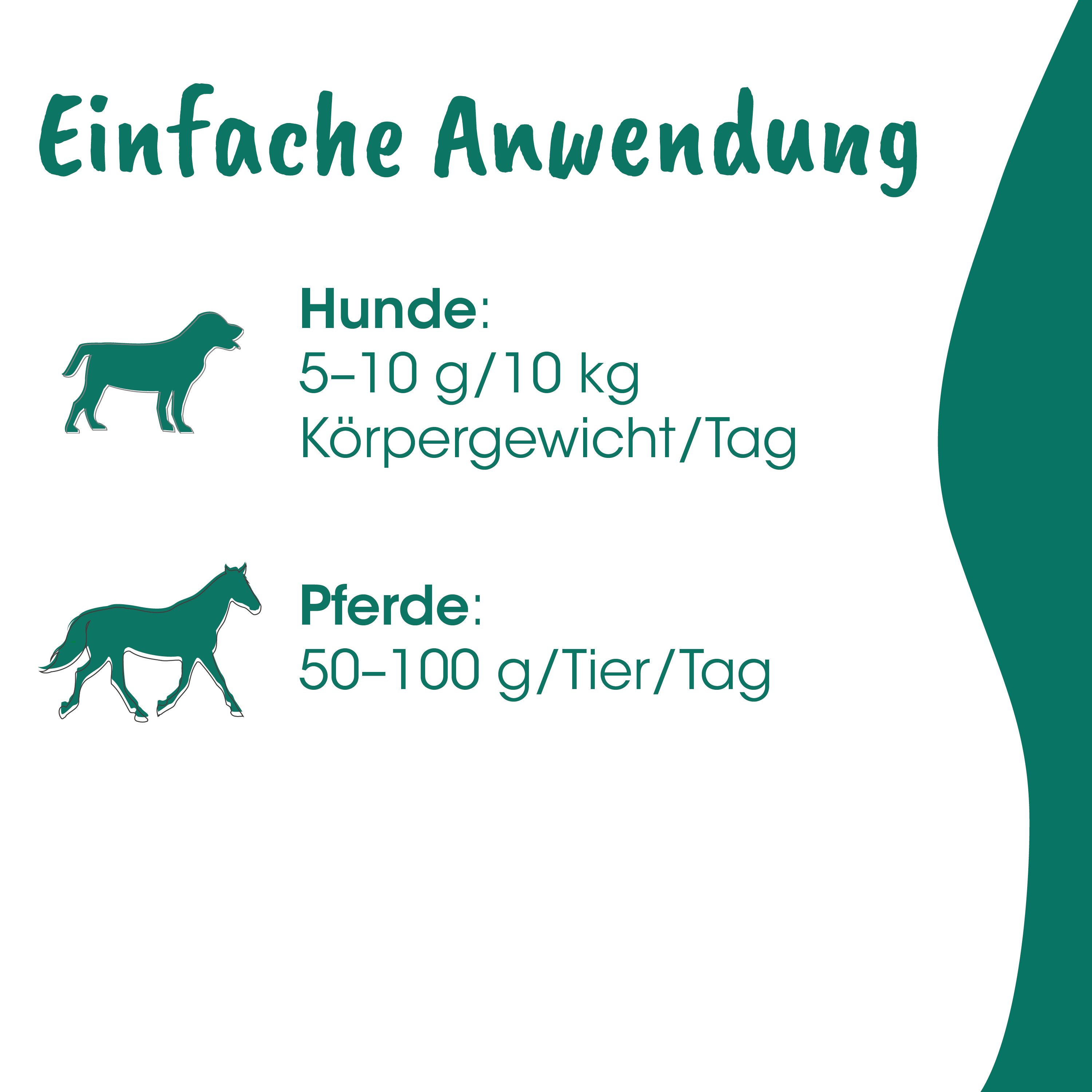 Hunde, Pferd, Futter, Tierbedarf, Körpergewicht/Tagesbedarf