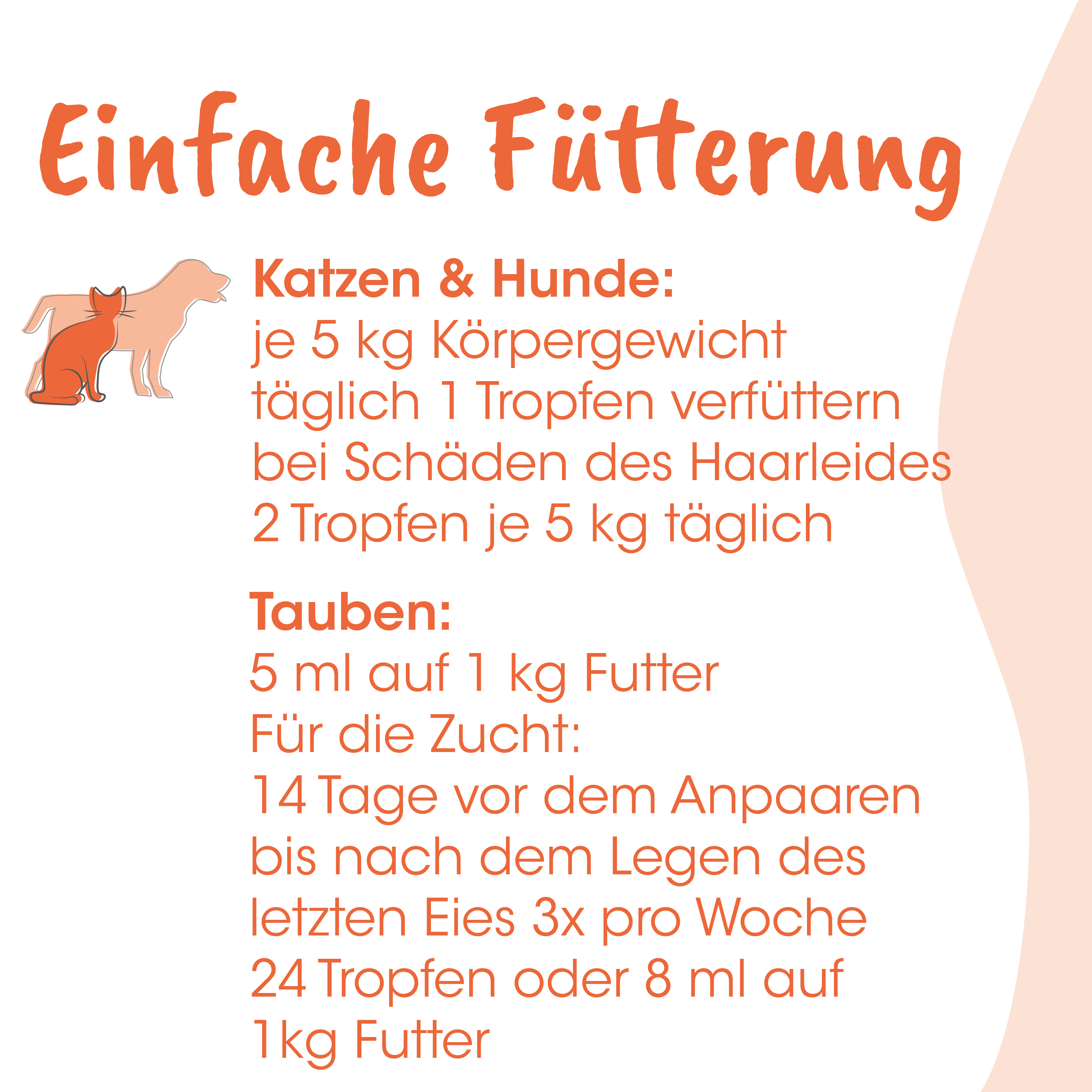 futterung, katze, hund, tauben, tiere