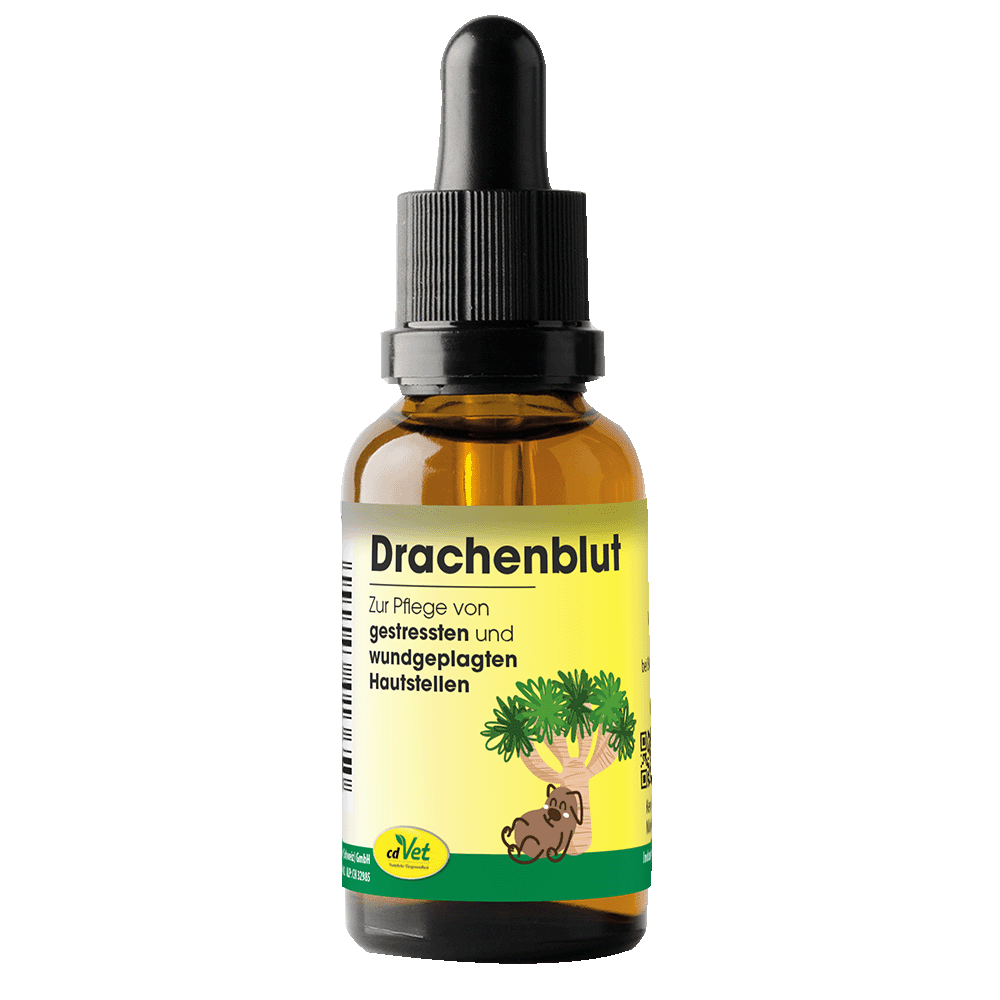 Kräuterig, Pflanze, Flasche, Kosmetik, Parfüm