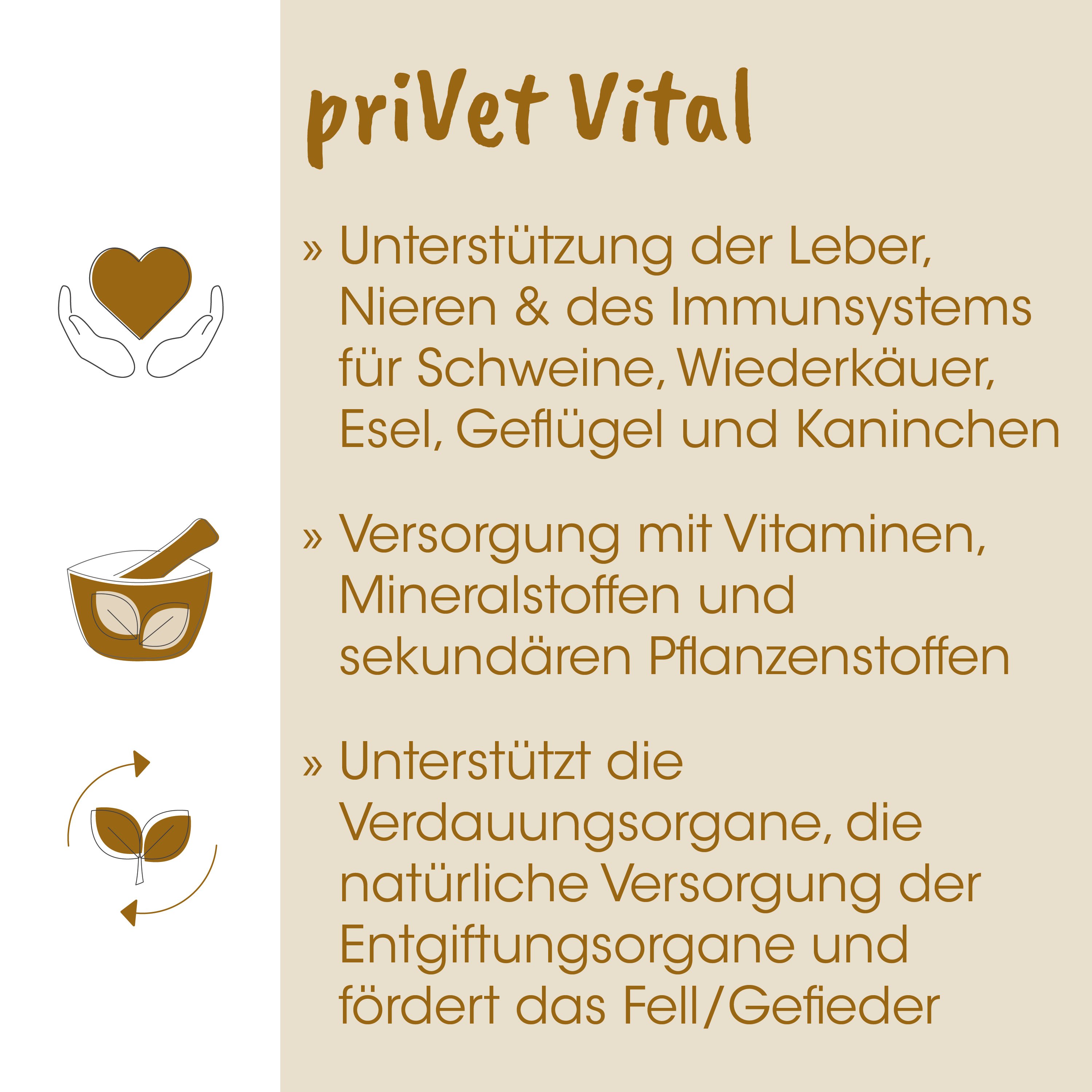 herz-icon, hände, mörser, blätter, pflanzenpflege