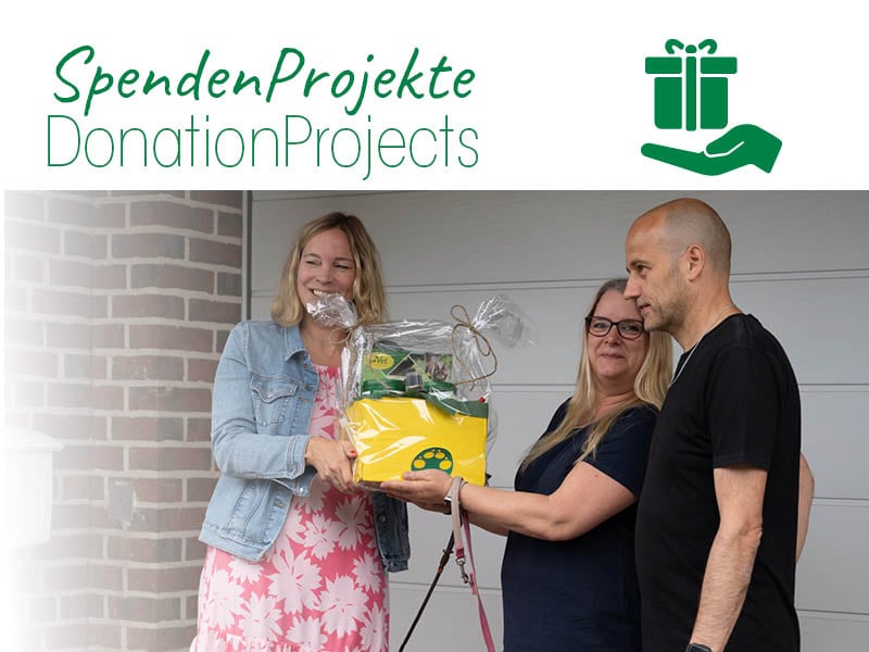 Tier, Hund, Säugetier, Haustier, Erwachsener, Weiblich, Person, Frau, Mann, Erwachsener, Weiblich, Person, Frau, Werbung