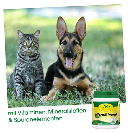 MicroMineral plus Hund & Katze 150 g