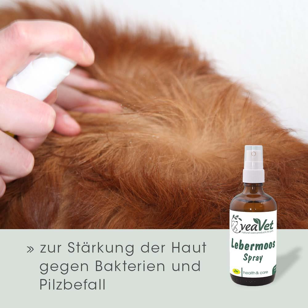VeaVet Lebermoos Spray 100 ml