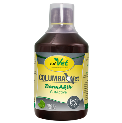 COLOMBAVet IntestinActif 500 ml