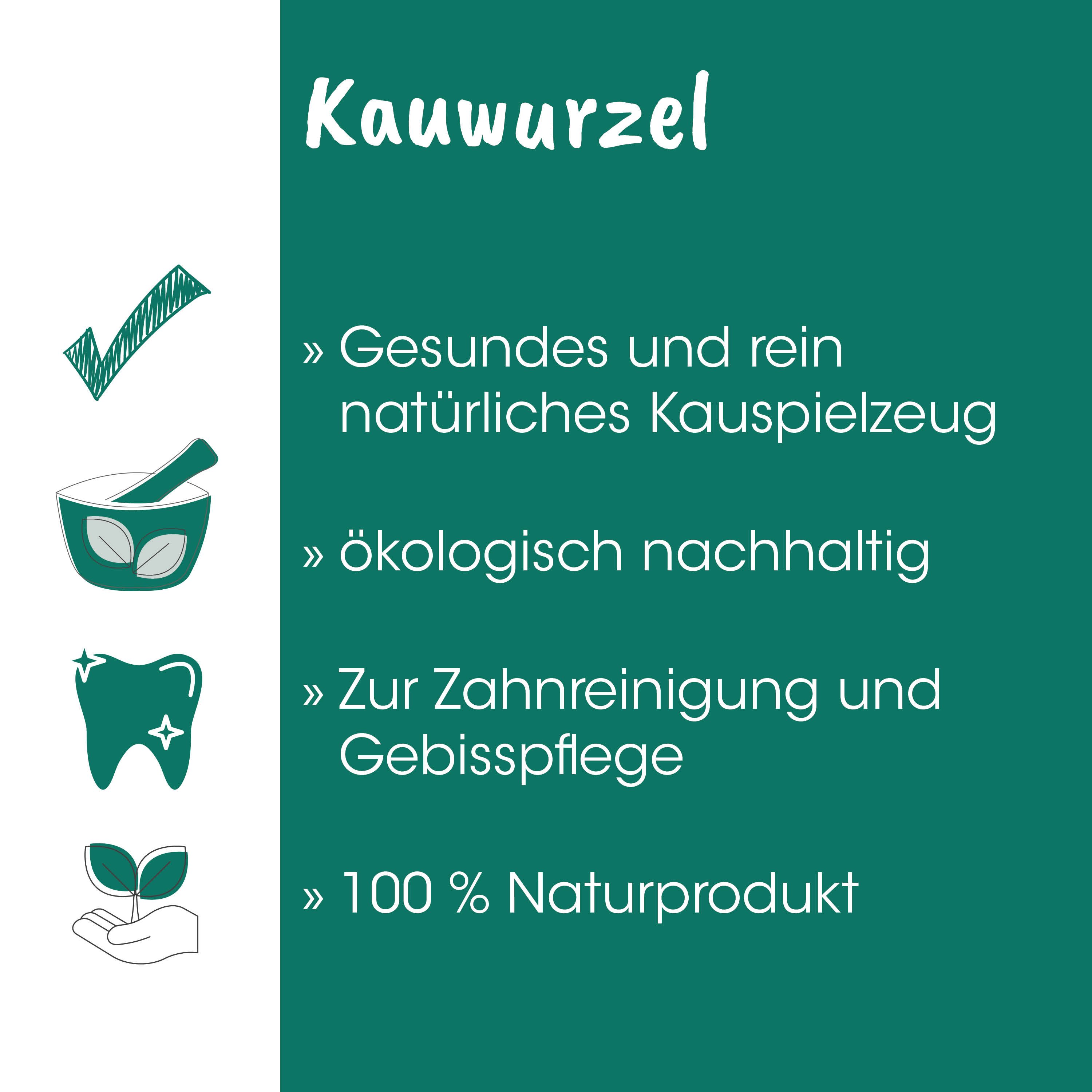 Kauwurzel, Naturprodukt, Zahnreinigung, Gebisspflege, ökologisch